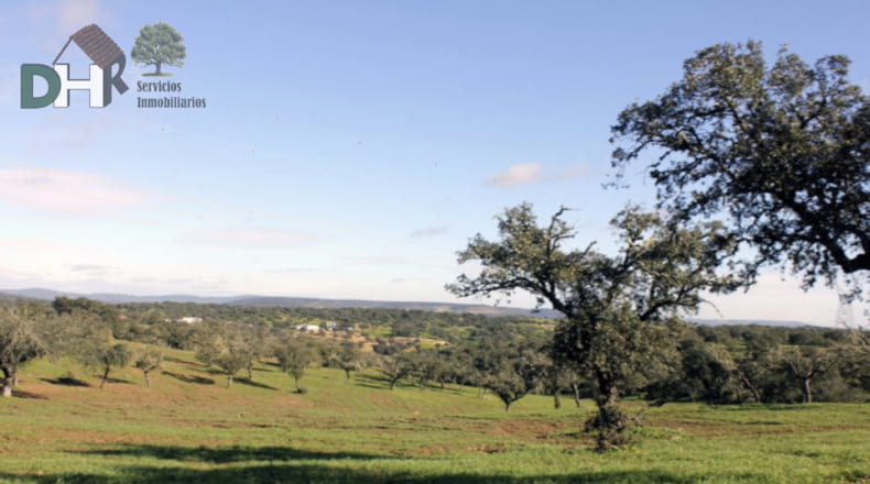 Cáceres - Aliseda - 4000000m2