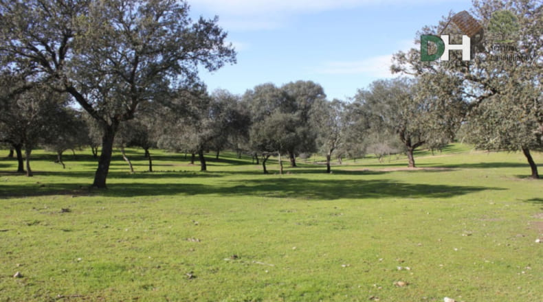 Cáceres - Aliseda - 4000000m2