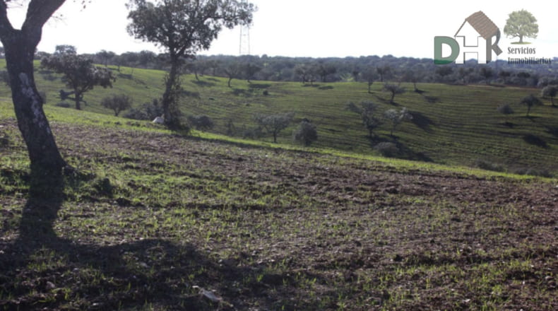 Cáceres - Aliseda - 4000000m2