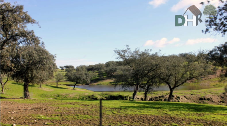 Cáceres - Aliseda - 4000000m2