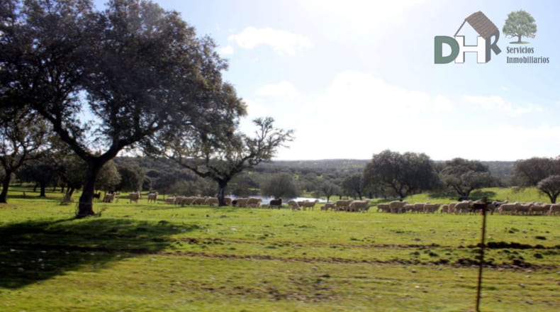 Cáceres - Aliseda - 4000000m2