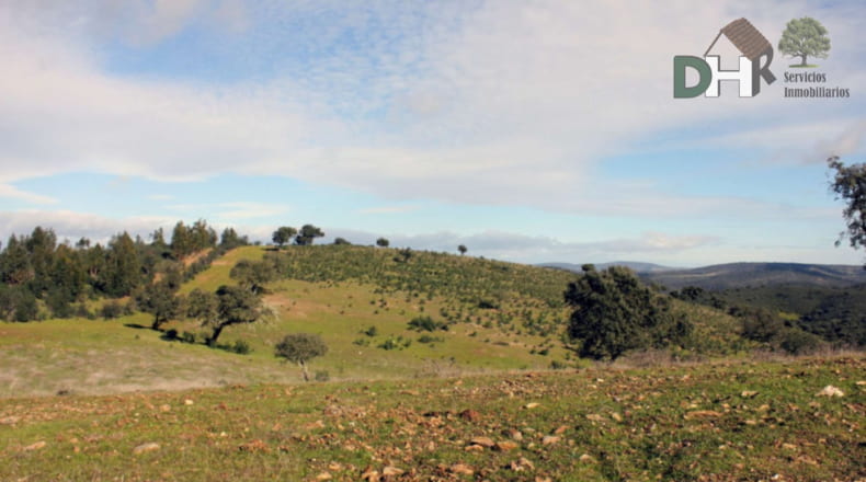 Cáceres - Aliseda - 4000000m2