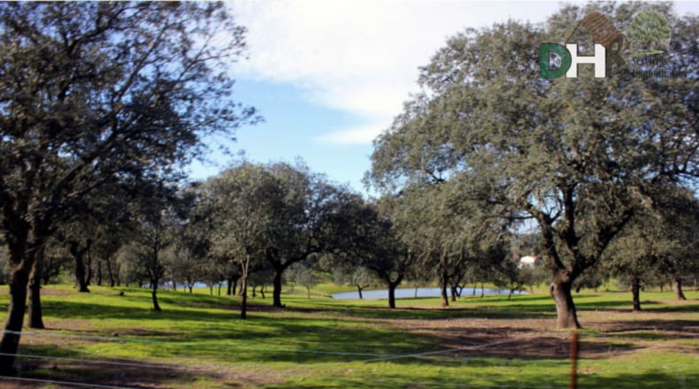 Cáceres - Aliseda - 4000000m2