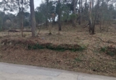 Land suitable for development for sale on Urbanización la Creu Lloret, Lloret de Mar, ref: TR68077 photo