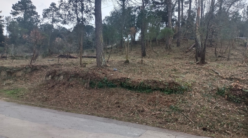 Gerona - Lloret de Mar - 810m2