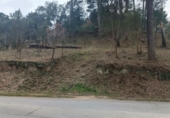 Land suitable for development for sale on Urbanización la Creu Lloret, Lloret de Mar, ref: TR68077 photo