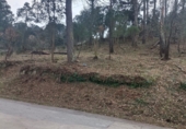 Land suitable for development for sale on Urbanización la Creu Lloret, Lloret de Mar, ref: TR68077 photo
