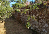 Land suitable for development for sale on trians, Negreira, ref: TR68326 photo