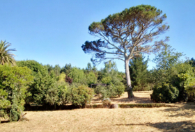 Negreira 7845&nbsp;m² 