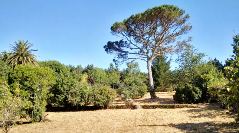 La Coruña - Negreira - 7845m2