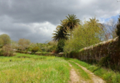 Land suitable for development for sale on trians, Negreira, ref: TR68326 photo