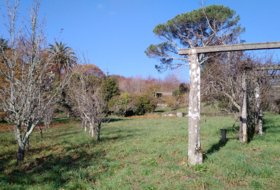 Negreira 7845&nbsp;m² 