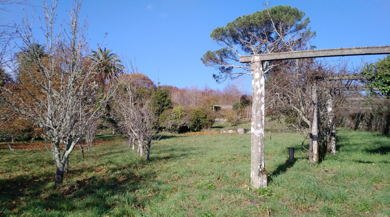 La Coruña - Negreira - 7845m2