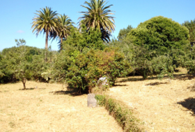 Negreira 7845&nbsp;m² 
