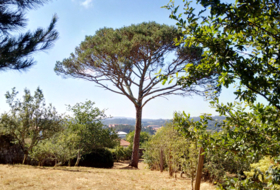 Negreira 7845&nbsp;m² 