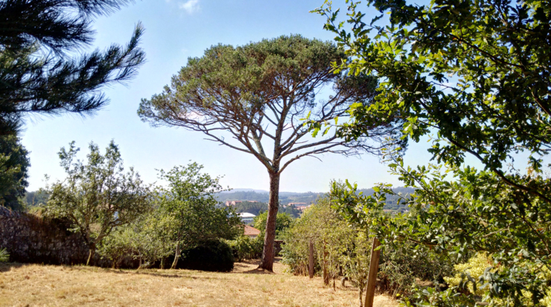 La Coruña - Negreira - 7845m2