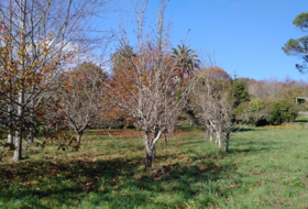 Negreira 7845&nbsp;m² 