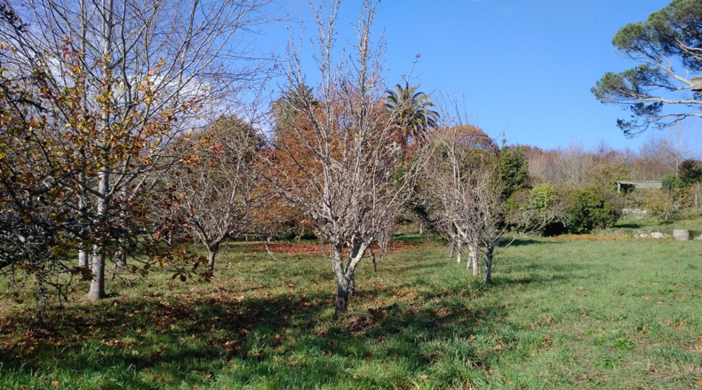 La Coruña - Negreira - 7845m2