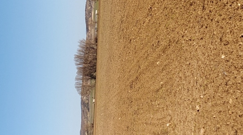 Cuenca - Reíllo - 320000m2