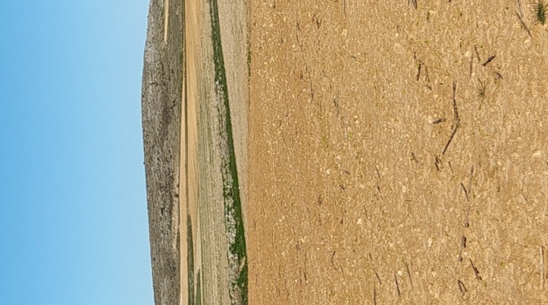 Cuenca - Reíllo - 320000m2