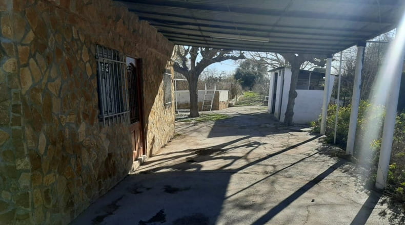 Castellón - Castellón de la Plana - 1300m2