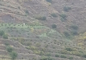 Finca rústica en venta en la Carril del Río Jate, Almuñécar, ref: TR68334 foto