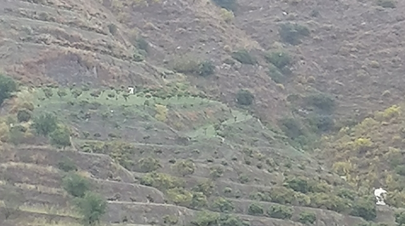 Granada - Almuñécar - 20000m2