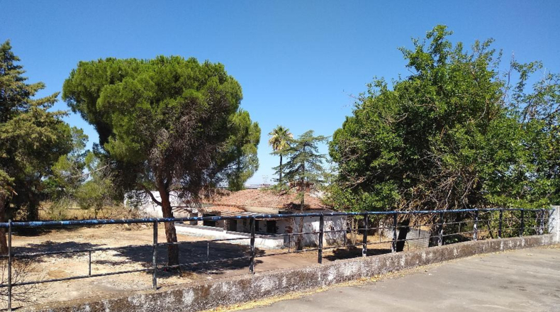 Badajoz - Badajoz - 12500m2