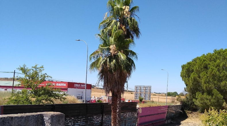 Badajoz - Badajoz - 12500m2