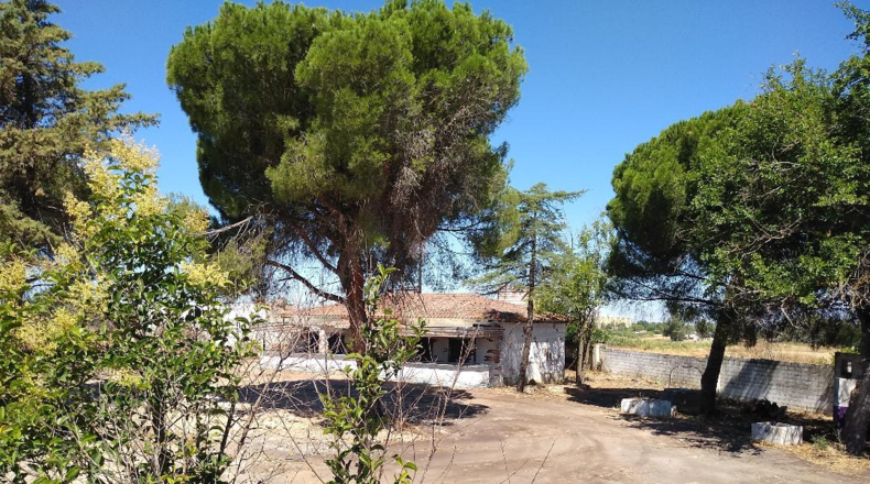 Badajoz - Badajoz - 12500m2