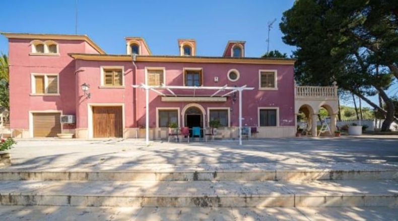 Alicante - Petrer - 90000m2