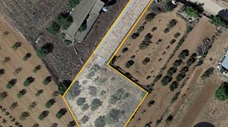 Albacete - Madrigueras - 1542m2