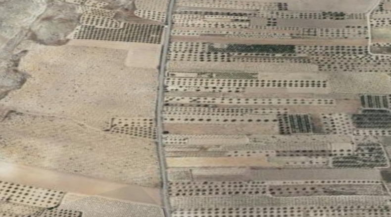 Albacete - Hellín - 80000m2