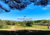 Parcela urbanizable en venta en la diseminado, Felanitx, ref: TR68532 foto