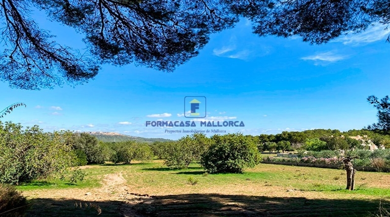 Islas Baleares - Felanitx - 15300m2