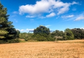 Parcela urbanizable en venta en la diseminado, Felanitx, ref: TR68532 foto