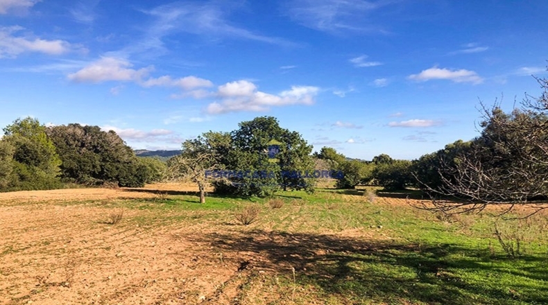 Islas Baleares - Felanitx - 15300m2