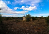 Land suitable for development for sale on diseminado, Santa Margalida, ref: TR68531 photo