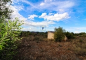 Land suitable for development for sale on diseminado, Santa Margalida, ref: TR68531 photo