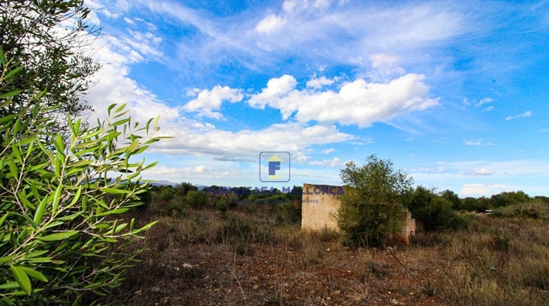 Islas Baleares - Santa Margarita - 15000m2