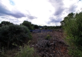 Land suitable for development for sale on diseminado, Santa Margalida, ref: TR68531 photo