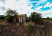 Land suitable for development for sale on diseminado, Santa Margalida, ref: TR68531 photo