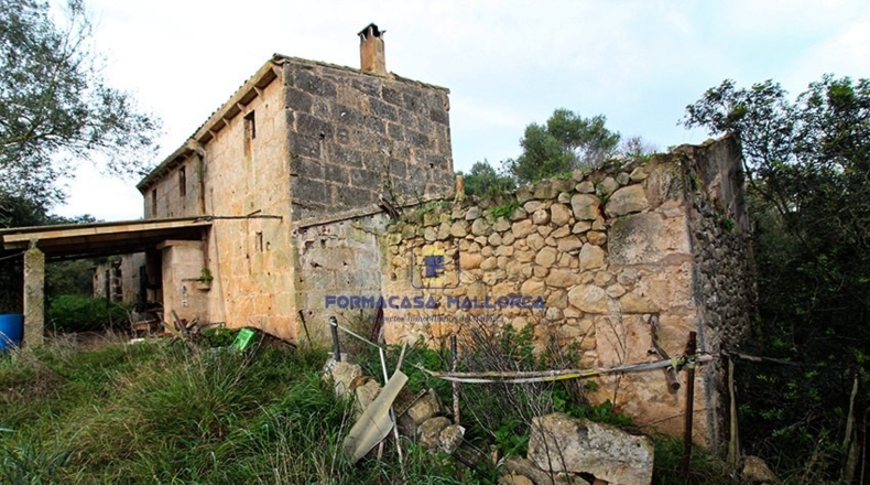 Islas Baleares - Lluchmayor - 55300m2