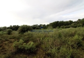 Stone house with land for sale on diseminado, Llucmajor, ref: TR68537 photo