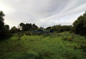 Stone house with land for sale on diseminado, Llucmajor, ref: TR68537 photo