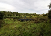 Stone house with land for sale on diseminado, Llucmajor, ref: TR68537 photo