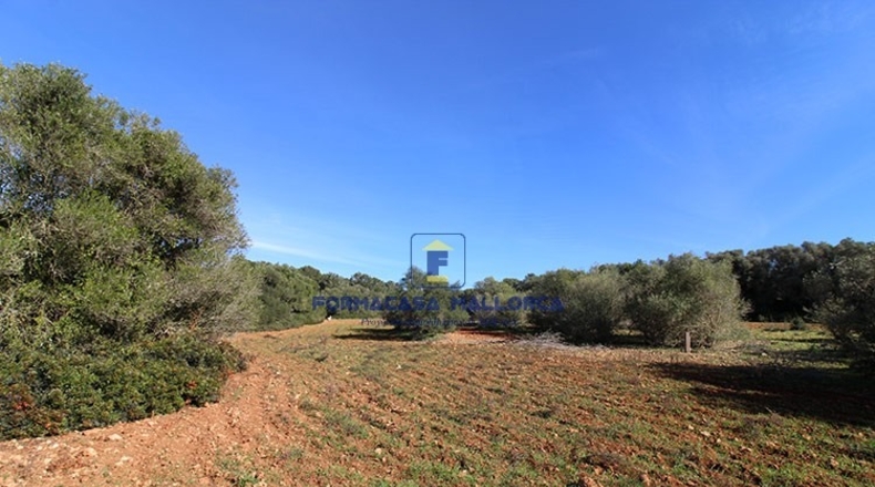 Islas Baleares - Campos - 35250m2