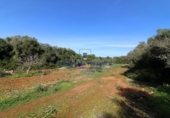 Parcela urbanizable en venta en la diseminado, Campos, ref: TR68536 foto