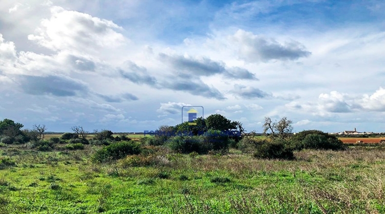 Islas Baleares - Las Salinas - 17300m2