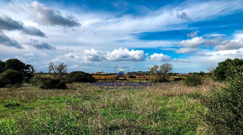 Islas Baleares - Las Salinas - 17300m2